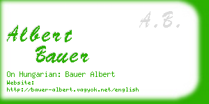 albert bauer business card